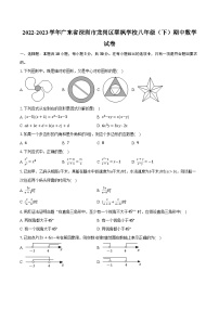 2022-2023学年广东省深圳市龙岗区翠枫学校八年级（下）期中数学试卷（含解析）