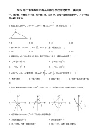 2024年广东省梅州市梅县区部分学校中考一模数学试题（原卷版+解析版）