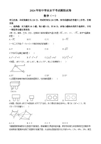 2024年甘肃省酒泉市初中学业水平考试模拟一模数学模拟试题（一）