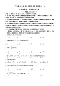 广东省湛江市徐闻县徐闻县第四中学2023-2024学年八年级下学期月考数学试题