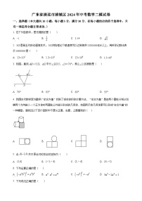 2024年广东省清远市清城区中考二模数学试题（原卷版+解析版）