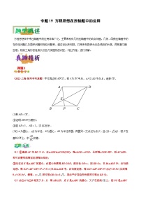 中考数学二轮复习压轴题培优专练专题19 方程思想在压轴题中的应用（2份打包，原卷版+解析版）