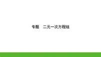 中考数学二轮专题复习课件：二元一次方程组