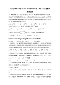 山东省潍坊市高密市2023-2024学年九年级下学期3月月考数学模拟试题（附答案）