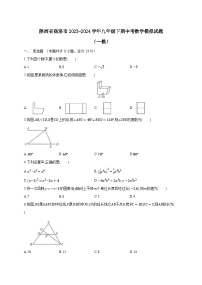 陕西省商洛市2023-2024学年九年级下期中考数学模拟试题（一模）（附答案）