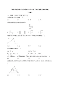 陕西省商洛市2023-2024学年九年级下期中考数学模拟试题（一模）（附答案）