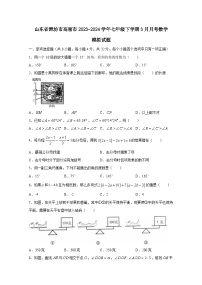 山东省潍坊市高密市2023-2024学年七年级下学期3月月考数学模拟试题（附答案）