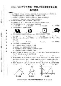 安徽省合肥市蜀山区2023-2024学年上学期期末考试八年级数学试卷