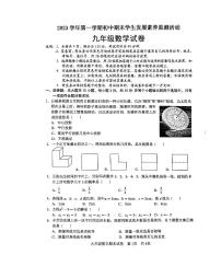 广东省清远市2023-2024学年九年级上学期1月期末数学试题