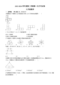 甘肃省武威市凉州区武威第九中学2023-2024学年九年级下学期第一次月考数学试题