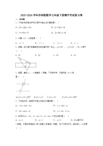 2023--2024学年苏科版数学七年级下册期中考试复习卷