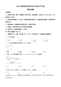 2024年陕西省宝鸡市中考模拟数学试题（原卷版+解析版）