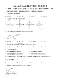 江苏省南通市启东市长江中学2023-2024学年八年级下学期3月月考数学试题（原卷版+解析版）