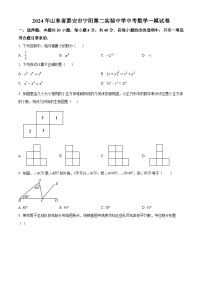 2024年山东省泰安市宁阳第二实验中学中考数学一模模拟试题（原卷版+解析版）