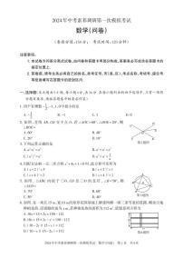 新疆伊犁哈萨克自治州特克斯县2024年中考素养调研第一次模拟考试+数学(问卷)+