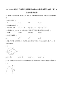 2023-2024学年江苏省泰州市泰兴市实验初中教育集团九年级（下）3月月考数学试卷（含解析）