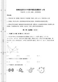 强化训练湖南省益阳市中考数学模拟模拟测评 A卷（含答案及解析）