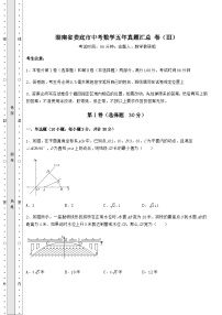 强化训练湖南省娄底市中考数学五年模拟汇总 卷（Ⅲ）（含答案详解）