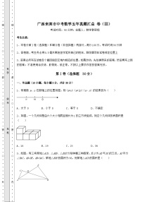 模拟汇总广西来宾市中考数学五年真题汇总 卷（Ⅲ）（含答案及详解）