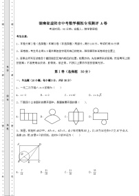 模拟汇总湖南省益阳市中考数学模拟专项测评 A卷（精选）