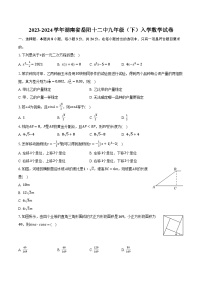 2023-2024学年湖南省岳阳十二中九年级（下）入学数学试卷(含解析）