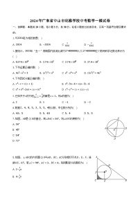 2024年广东省中山市纪雅学校中考数学一模试卷(含解析）