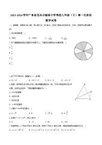 2023-2024学年广东省茂名市愉园中学等校九年级（下）第一次质检数学试卷(含解析）