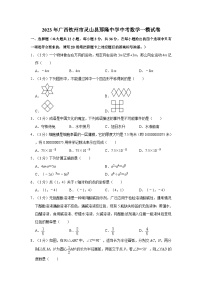 2023年广西钦州市灵山县那隆中学九年级中考数学一模试卷