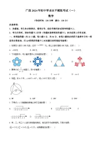 2024年广西钦州市部分学校九年级下学期适应性一模考试数学模拟试题（原卷版+解析版）