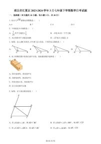 湖北省武汉市江夏区2023-2024学年七年级下学期月考数学试题