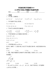 河北省石家庄市藁城区2023-2024学年八年级上学期期末考试数学试卷(含答案)