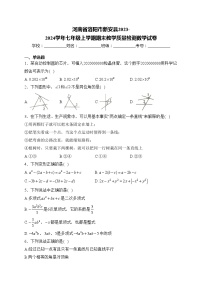 河南省洛阳市新安县2023-2024学年七年级上学期期末教学质量检测数学试卷(含答案)