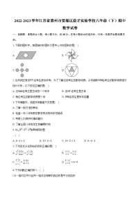 2022-2023学年江苏省泰州市姜堰区励才实验学校八年级（下）期中数学试卷（含解析）