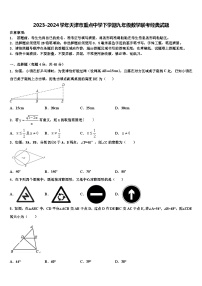 2023-2024学年天津市重点中学下学期九年级数学联考经典试题