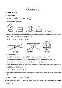 2024年陕西省汉中市实验中学中考三模数学试题