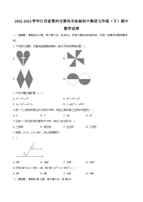 2022-2023学年江苏省泰州市泰兴市实验初中集团七年级（下）期中数学试卷（含解析）