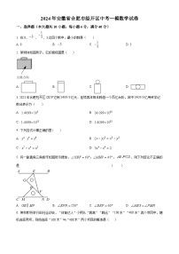 2024年安徽省合肥市经开区中考一模数学试题（原卷版+解析版）