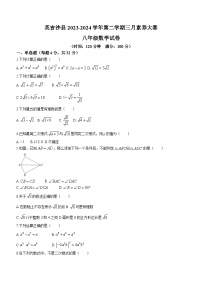 新疆维吾尔自治区喀什地区英吉沙县育才中学2023-2024学年八年级下学期3月月考数学试题(无答案)