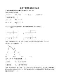 2024年3月江苏省南京市金陵中学河西分校九年级中考数学模拟预测题(无答案)