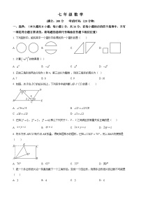 江苏省苏州市苏州高新区第一初级中学校2023-2024学年七年级下学期3月月考数学试题（原卷版+解析版）