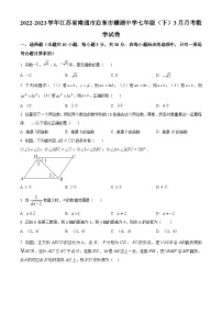 江苏省南通市启东市启东蝶湖中学2022-2023学年七年级下学期3月月考数学试题（原卷版+解析版）