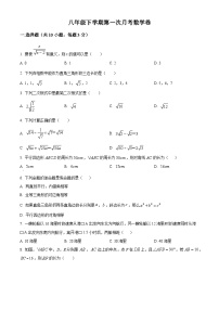 河南省信阳市羊山中学2023-2024学年八年级下学期3月月考数学试题（原卷版+解析版）