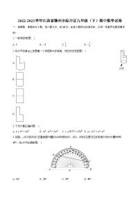 2022-2023学年江西省赣州市经开区九年级（下）期中数学试卷（含解析）