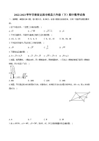 2022-2023学年甘肃省定西市岷县八年级（下）期中数学试卷（含解析）