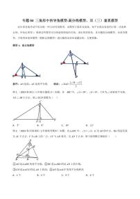 2024年中考数学二轮复习几何模型解读与提分精练 专题04 三角形中的导角模型-高分线模型、双（三）垂直模型（2份打包，原卷版+解析版）