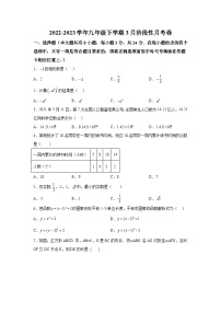 江苏省连云港市海州区新海初级中学2023-2024学年九年级下册3月月考数学试题（含解析）