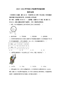 2024年辽宁省抚顺市望花区九年级中考三模数学模拟试题（含解析）