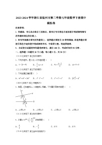 浙江省温州市2023-2024学年七年级下册期中数学模拟试题（含解析）