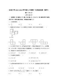 2024年四川省成都市双流中学中考一模数学模拟试题（含解析）