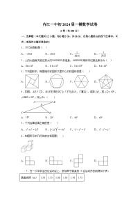 2024年四川省内江市第一中学九年级中考一模数学模拟试题（含解析）